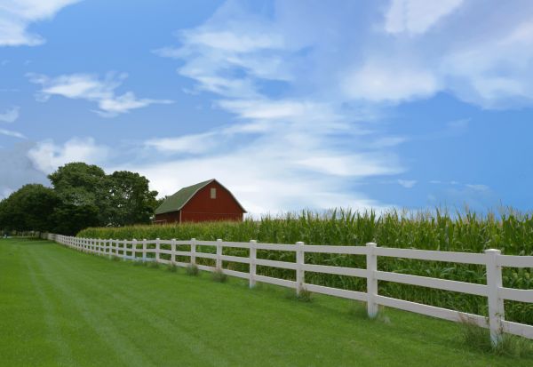 Farm Fence Construction